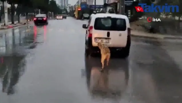 Mersin’de tepki çeken görüntü