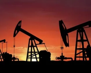 Resmi Gazete’de yayımlandı! O ilimizde petrol aranacak