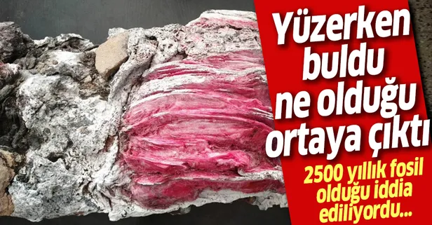 Yüzerken bulmuştu ne olduğu ortaya çıktı