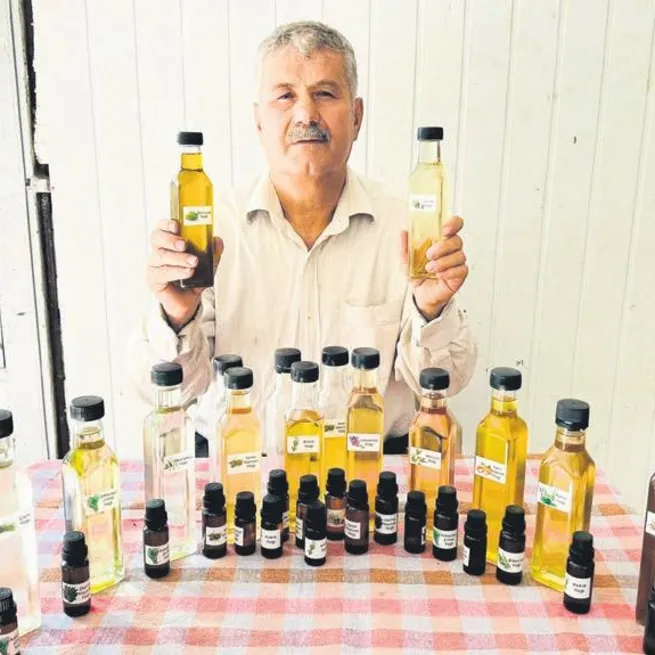 Torosların şifacısı