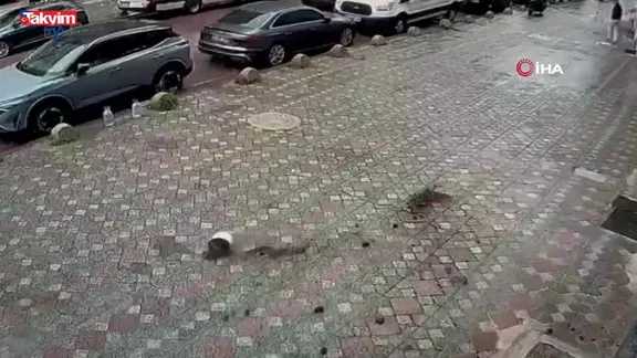 İstanbul'dan lodos manzaraları: Ağaç devrildi balkondaki saksı düştü