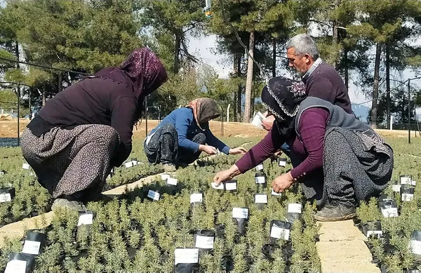 asrin-felaketinde-hayatini-kaybedenlerin-isimleri-fidanlarda-yasatilacak-1677583693464.jpg Asrın felaketinde hayatını kaybedenlerin isimleri fidanlarda yaşatılacak!-2