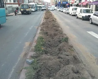 Yine CHP’li belediye yine ağaç katliamı