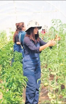 Kırsalda işsiz genç kalmayacak