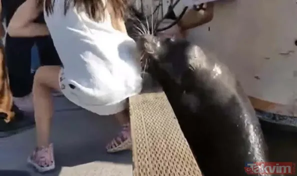 Sadece fotoğraf çektirmek istedi genç kız hayatının şokunu yaşadı! Bir anda üzerine atladı ne var yok... - 5