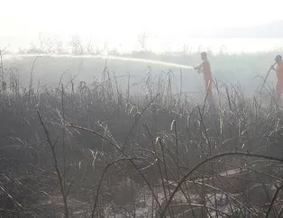 Kocaeli’de 10 dönüm sazlık kül oldu!
