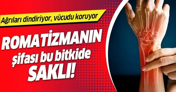 Romatizmanın umudu ısırgan otu! İşte romatizmanın zararını azaltan bitkiler...