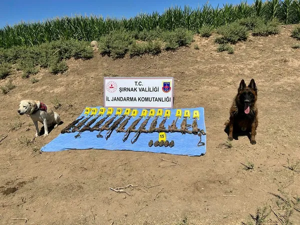 sirnak-silopide-topraga-gomulu-14-tufek-ve-5-el-bombasi-ele-gecirildi-1662705794909.jpg Şırnak Silopi'de toprağa gömülü 14 tüfek ve 5 el bombası ele geçirildi-2