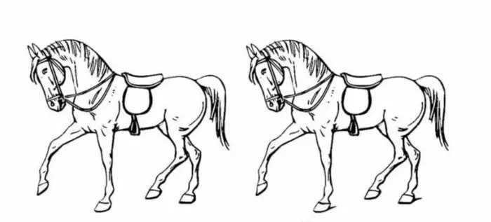 4-at-icinde-farkli-ati-bulduysan-hafizan-zirvelerde-cikiyor-1713274374760.jpg Beyninizi test edin: 4 at içinde farklı atı bulduysan hafızan zirvelerde çıkıyor-3