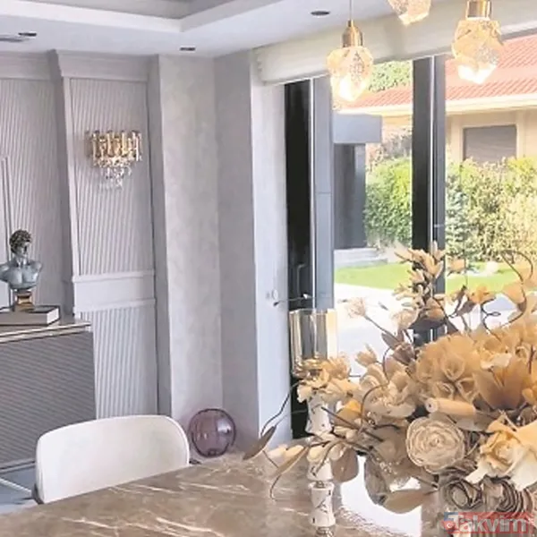 Kadırgalı Seda Sayan’ın serveti dudak uçuklattı! İşte mal varlığı: İstanbul'da 30 daire, Bodrum'da 3 villa... - 14