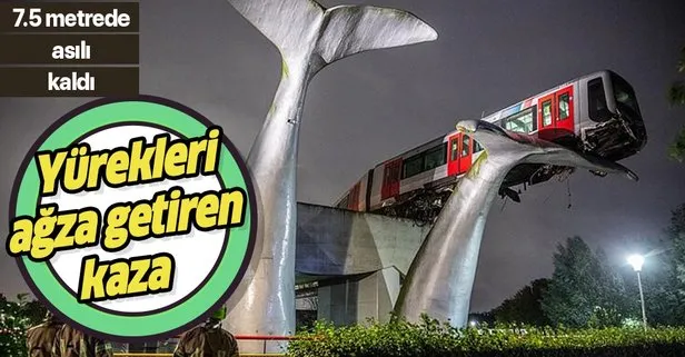 Hollanda’da yürekleri ağza getiren metro kazası! 7.5 metre yükseklikteki dev balina heykeline çarptı