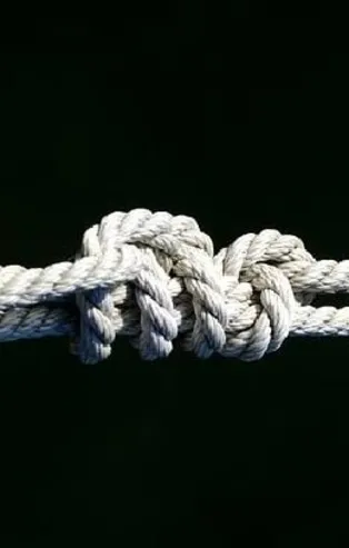 Domuz bağı nedir? Domuz bağı ne demek?