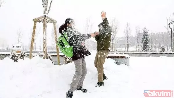 Valilik listeyi duyurdu! 5 Ocak 2026 kar tatili olan iller son dakika: Ankara, Van, Batman, Şanlıurfa... - 17