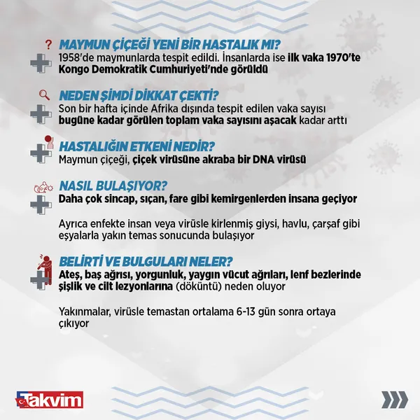 SON DAKİKA! Bakan Koca'dan flaş maymun çiçeği açıklaması! Türkiye'de ilk vaka! Maymun çiçeği hangi ilde görüldü?-9