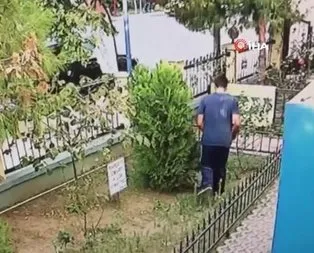 İzmir’de vahşet! Yavru kediyi tekmeleyerek öldürdü