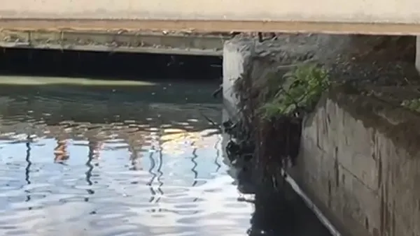 veliefendi-hipodromu-kundakcisi-eski-seyis-cikti-1691236509338.jpg Veliefendi Hipodromu kundakçısı eski seyis çıktı-7