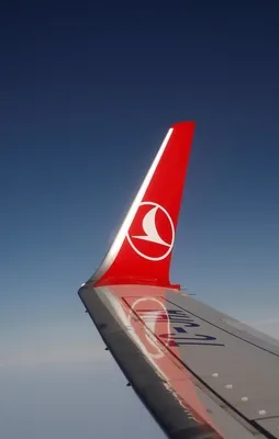 Aycı: rekor müjdesi için hazırlanıyoruz