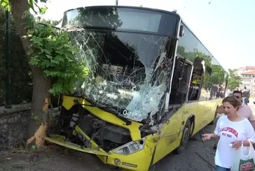 Pendik'te İETT otobüsü ağaca çarptı! Ön camı tuzla buz olan otobüste 4 yolcu yaralandı