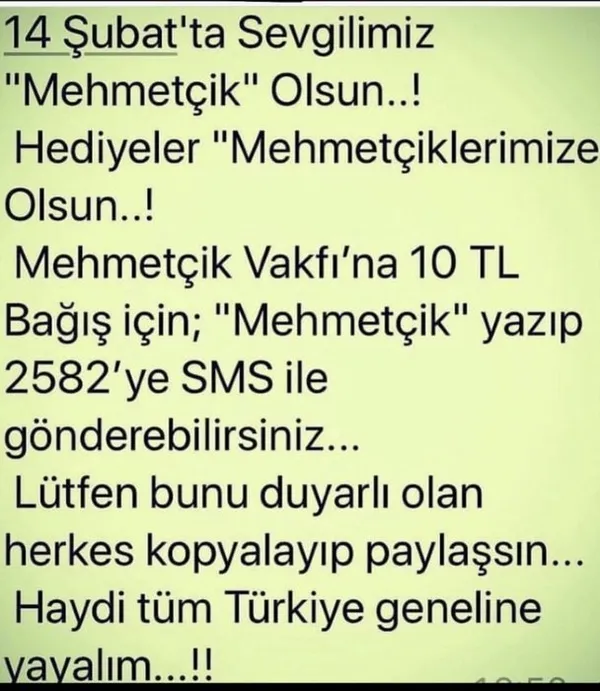 Mehmetçiğe sevgi desteği-7