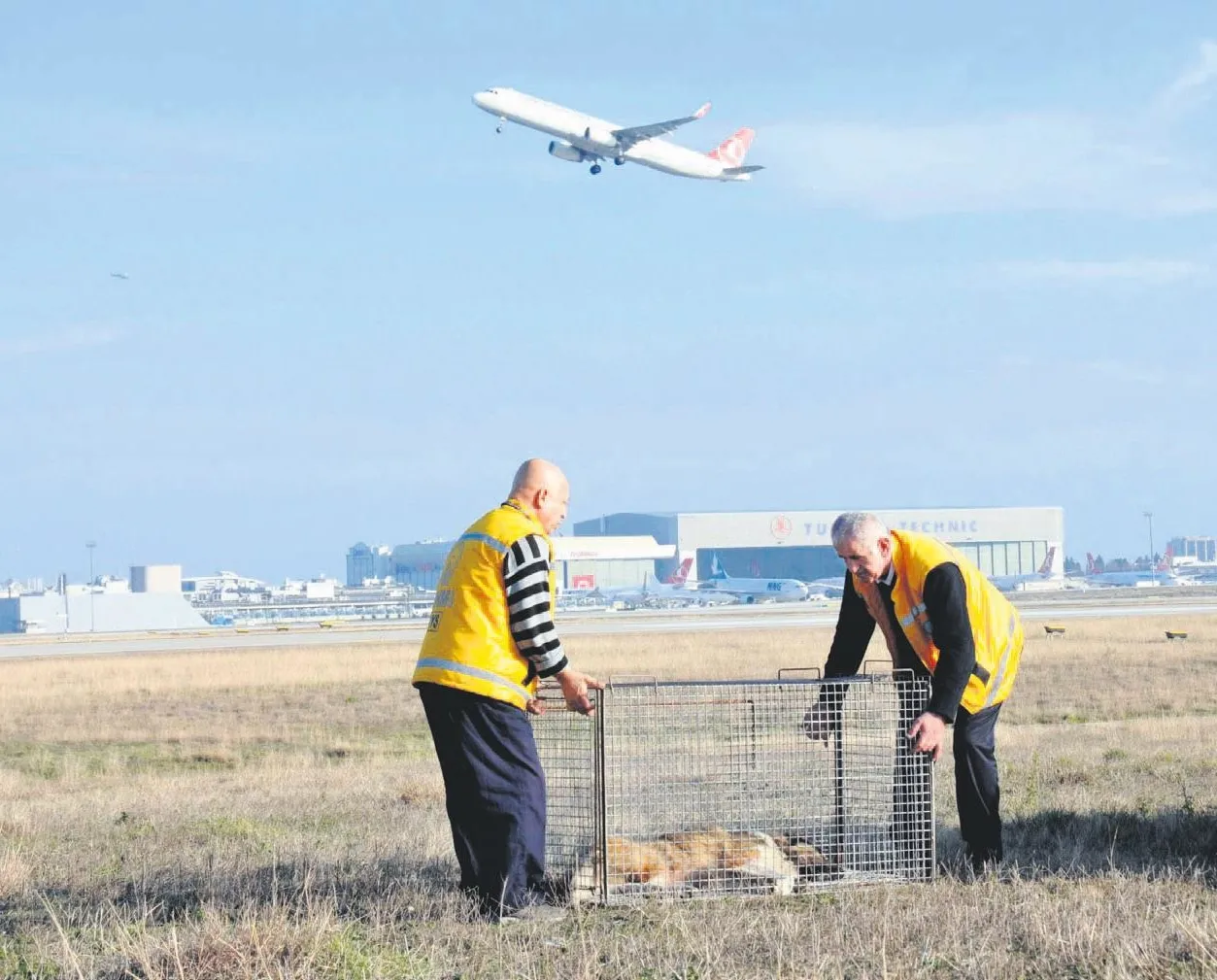 ’Hav’ada tehlike!