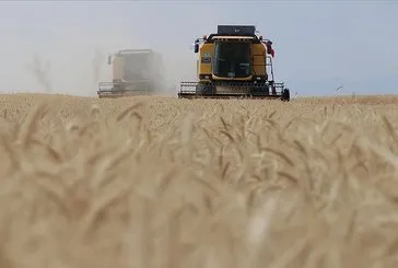 Mayıs yağışları buğday üretimindeki kayıpları azaltacak