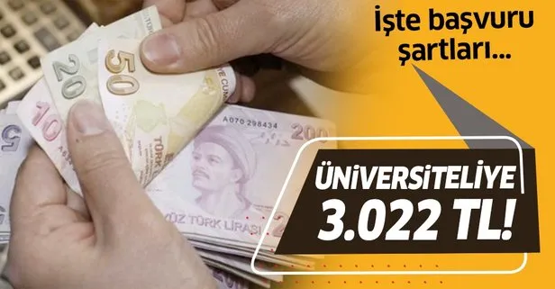Üniversiteliye 3.022 TL