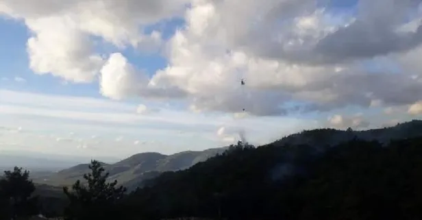 Son dakika: Balıkesir'in Edremit ilçesinde çıkan orman yangını kontrol altına alındı