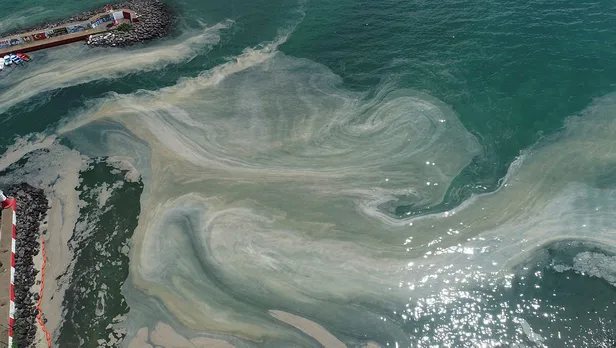 musilaj-kabusunun-en-buyuk-etkisi-1-eylulde-ortaya-cikacak-1624168212611.jpg Müsilaj kabusunun en büyük etkisi 1 Eylül'de ortaya çıkacak!-5