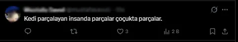 1791872519372.jpg Esenyurt’ta ağızlıksız Pitbull sokak kedisini parçaladı: Sahibinin “Ne yapayım, köpek bu!” sözleri tepki çekti-7