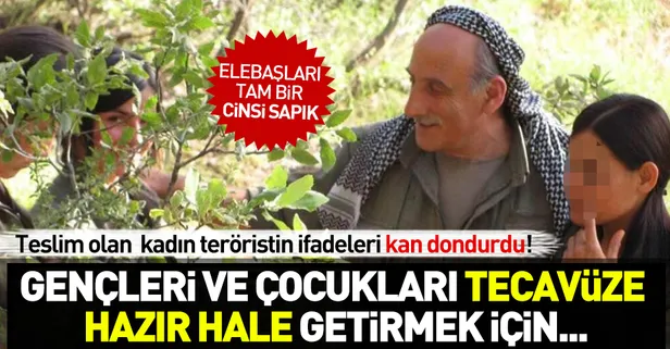 Teslim olan teröristin ifadeleri kan dondurdu! Gençleri ve çocukları tecavüze hazır hale getirmek için...-1