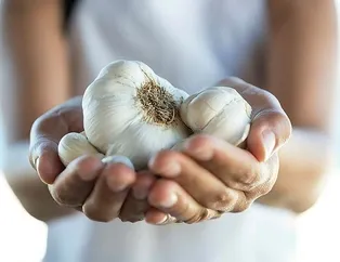 Sarımsakta aşk var