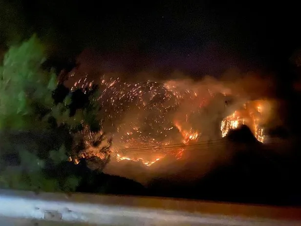 Türkiye'de peş peşe orman yangınları! Başkan Erdoğan açıkladı: 5 il Genel Hayata Etkili Afet Bölgesi ilan edildi-7