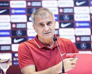 A Milli Takım Teknik Direktörü Şenol Güneş: Son adımı sağlam atmalıyız
