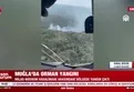 Muğla'da orman yangını!