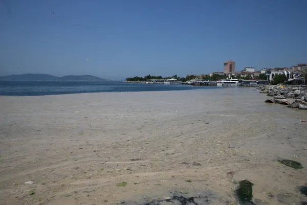 son-dakika-cevre-ve-sehircilik-bakani-murat-kurum-marmara-denizinden-7-bin-932-metrekup-musilaji-temizledik-1624867680411.jpg SON DAKİKA: Çevre ve Şehircilik Bakanı Murat Kurum: Marmara Denizi'nden 7 bin 932 metreküp müsilajı temizledik-8