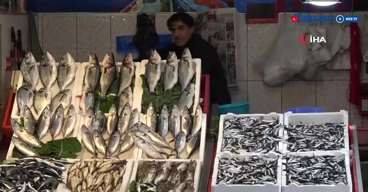 Mezgitin kilosu rekora koşuyor! |Video