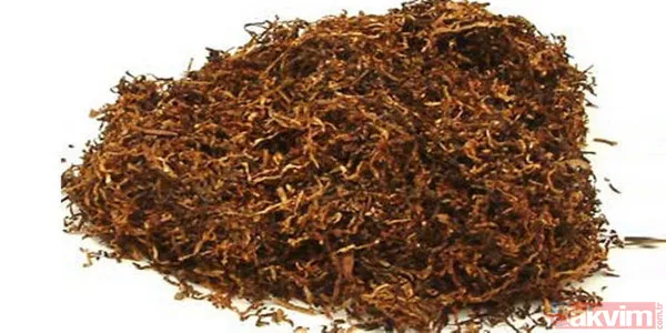 Bu yiyecekler beyne zarar veriyor! - 30