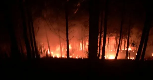 Adana Kozan’da orman yangını! Köylüler ile ekiplerden müdahale