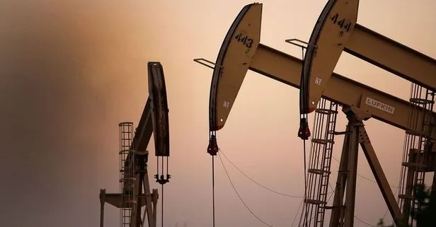 TPAO 15 saha için petrol arama ruhsatı aldı