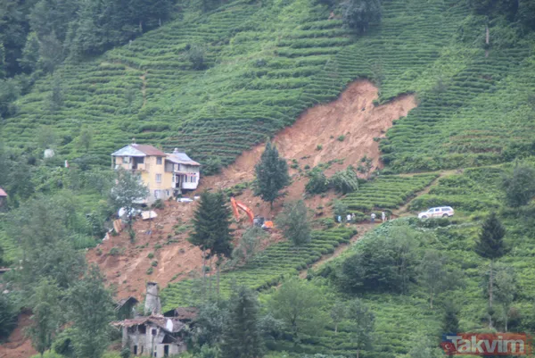Doğu Karadeniz'i bekleyen büyük facia! Kaçak çaylıklar için ormanlar kesiliyor - 16