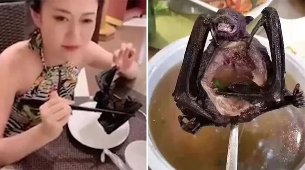 Koronavirüsün ondan bulaştığı iddia ediliyordu! Çin'den flaş yarasa çorbası açıklaması-1