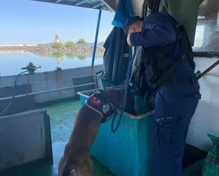 Düzensiz göçe geçit yok! Hepsi tek tek yakalandı