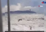 Caddebostan'da martıların lodosla imtihanı