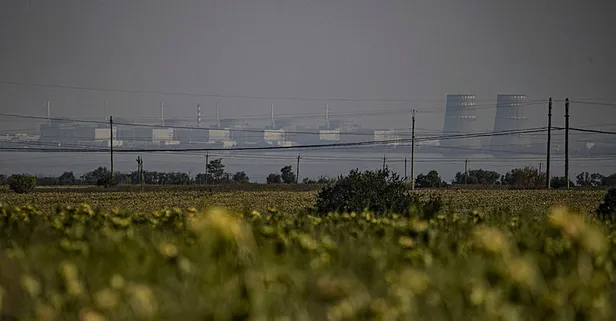 UAEA'dan flaş Zaporijya raporu: Acilen ara tedbirler alınmalı