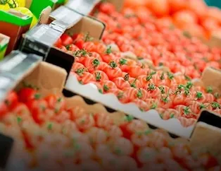 Türkiye için kritik gün