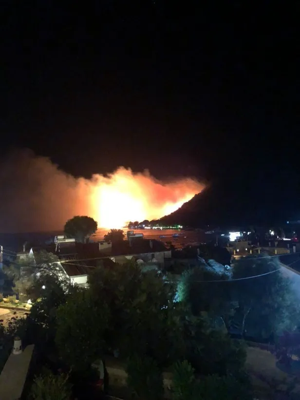 cesmede-otluk-alanda-yangin-evler-bosaltiliyor-1658176077000.jpg İzmir Çeşme'deki yangın kontrol altına alındı! Valilikten açıklama geldi-2