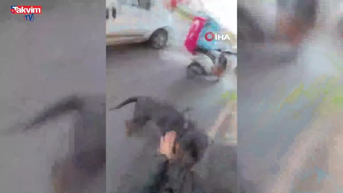 Mersin'de vahşet! Sokakta ağızlıksız gezdirilen 'Rottweiler' cinsi köpek dehşet saçtı