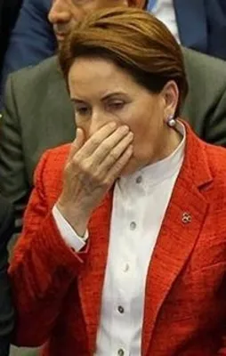 Çekilin lan ablanız geliyor!