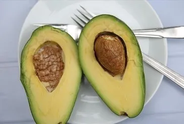 Çok güzelsin avokado!