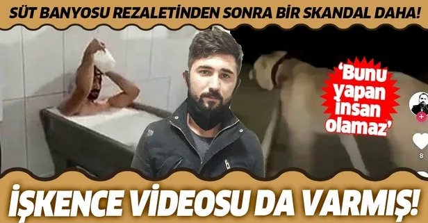 Kazana girip süt banyosu yapan Uğur Turgut’un daha önce bir köpeğe işkence ettiği videosu da ortaya çıktı!